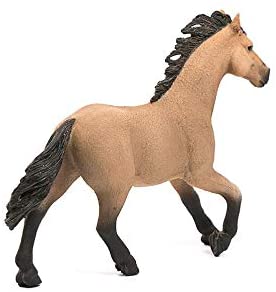 Shquarter Horse Stallion