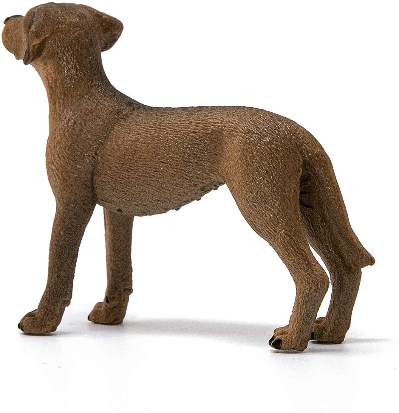 Schleich Rhodesian Ridgeback