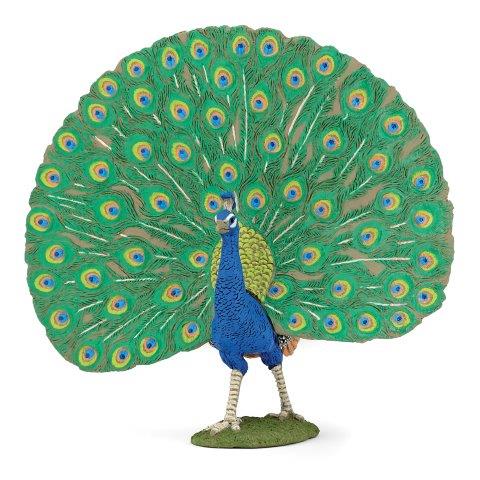 Papo Peacock