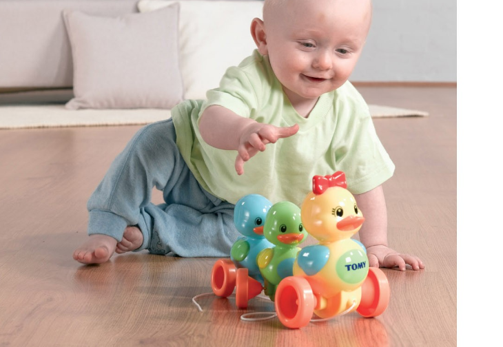 Tomy toomies 2024 quack along ducks