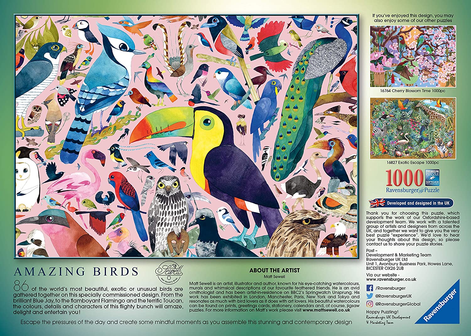 Amazing Birds 1000 Piece Jigsaw Puzzle