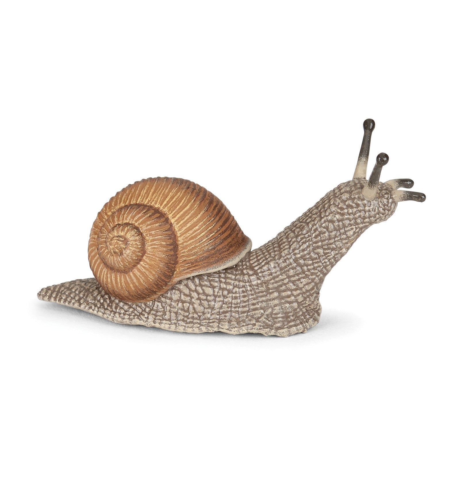 Papo Snail